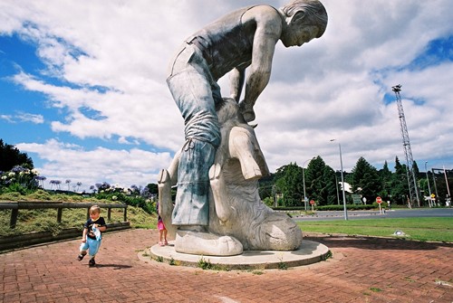 Te Kuiti residents compare all major insurance and get the best for cheap